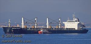 1817grand Pioneer.jpg