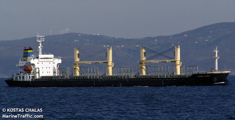 4655ocean Honey 1.jpg