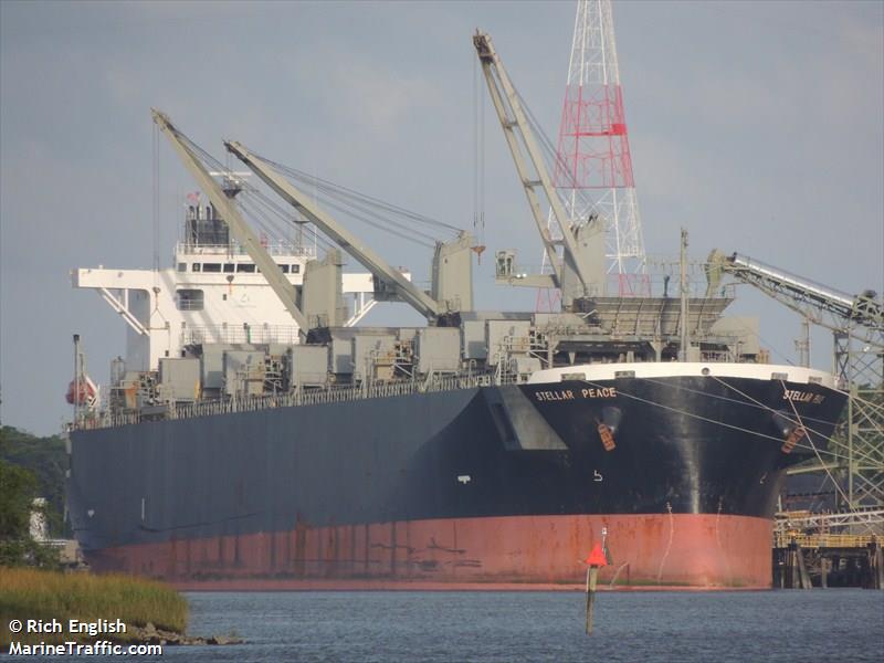 4931stellar Peace.jpg