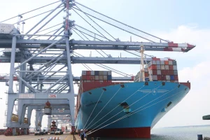 50351 1696864254175723213320.jpg