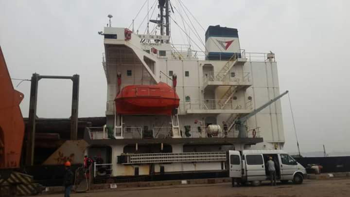 50361444870885379 2917.jpg