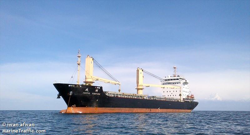 7799joyful Fortune.jpg