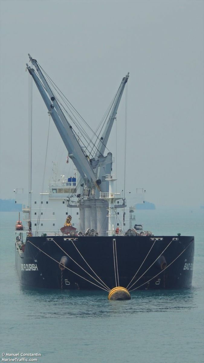 8719bao Flourish.jpg